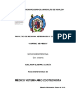 Curtido de Pieles PDF