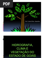 28618726-02-Hidrografia-Clima-Vegetacao