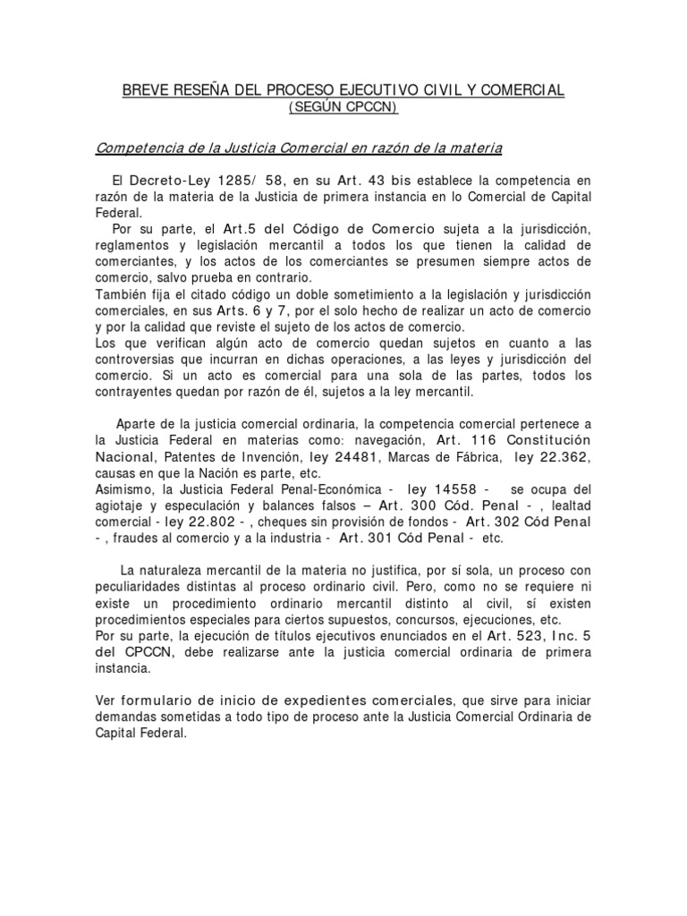 Proceso ejecutivo civil
