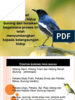 Power Point Burung