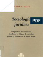 david, pedro r - sociologia juridica.pdf