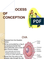 Theprocessofconception 100822024105 Phpapp01