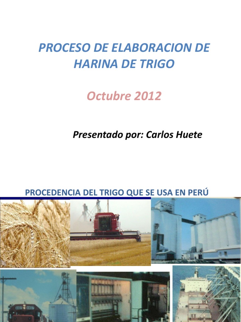 Proceso de Elaboración de Harina de Trigo | PDF | Trigo | Cereales