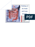 Small Intestine Colon-Nonneoplastic I