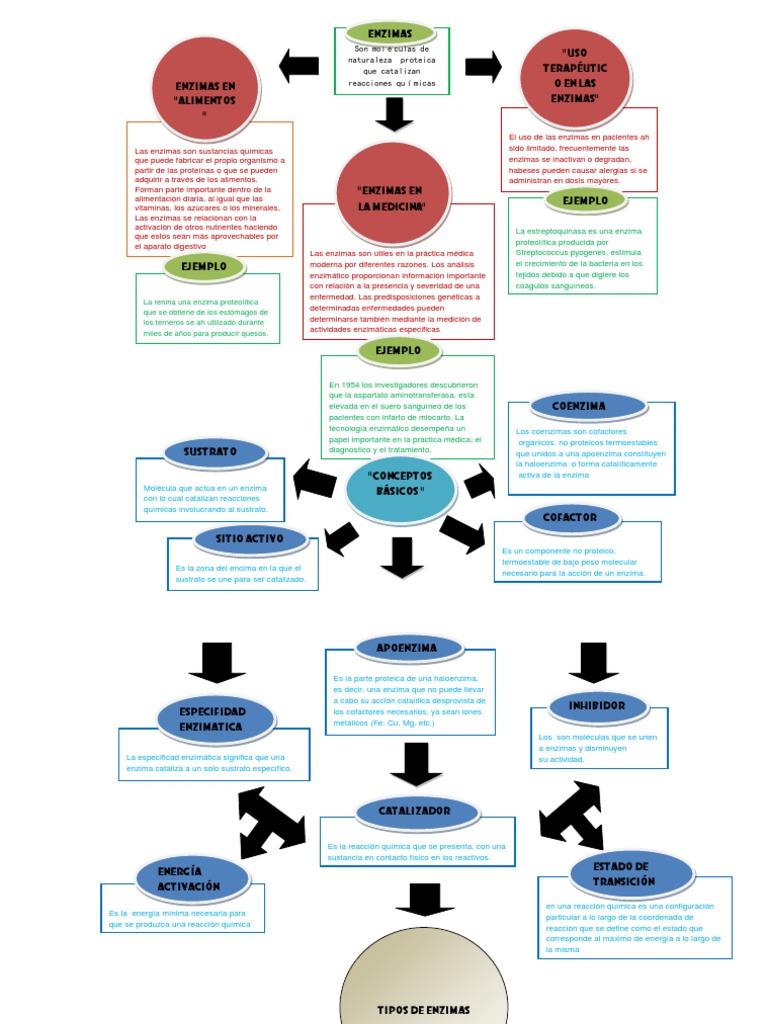 Mapa Conceptual Enzimas