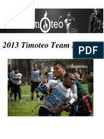 2013 Timoteo Report 