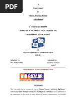 A Project Report On: Human Resource Activity in Big Bazaar