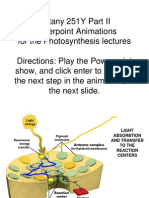 Photosynthesis Animations