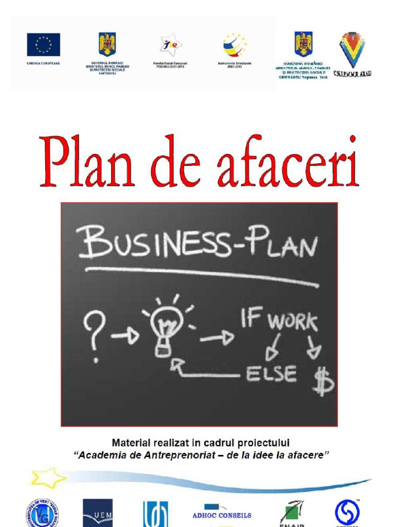 Plan de Afaceri PDF