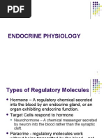 Download Endocrine by Rishwan Omer Salih SN16246448 doc pdf