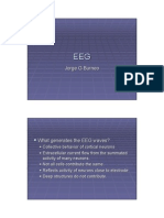 Basic EEG