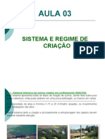 AULA 03 SISTEMA DE CRIAÇÃO PDF