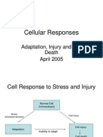 Cell Injury and Death