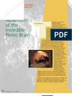 The Incredible Plastic Brain