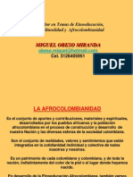 1catedra Afro Insumos Pedagogicos 2013 (Samudio2)