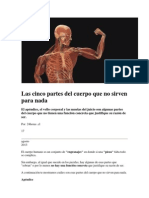 Las Cinco Partes Del Cuerpo Que No Sirven para Nada