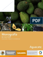 Monografia Aguacate Mexico