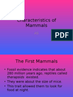 Characteristics of Mammals