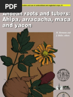 Download 472 Andean Roots and Tubers by pilisanta SN162650066 doc pdf