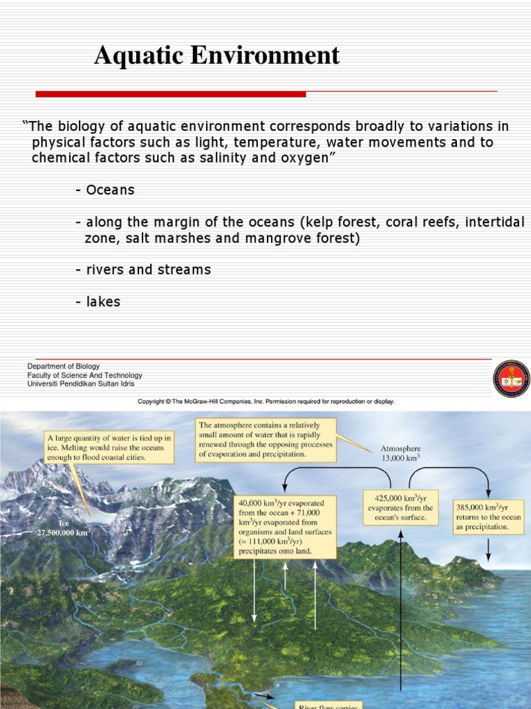 Which Action Shows Responsibility Toward the Aquatic Environment-Eco-Conscious Choices Explained