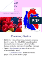 16-17 - Circulatory System