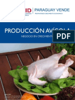 Produccion Avicola 2010