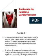 Sistema Cardiovascular Fisiot