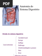 Sistema Digest Orio 1