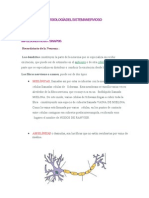 FISIOLOGÍA+DEL+SISTEMA+NERVIOSO