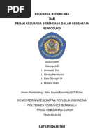 Download Kl4Kb Dan Peran Kb Dlm Kespro by Deta Baroqah Af SN162723961 doc pdf