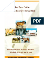 Indian Zebu Cattle: A Natural Resource For A2 Milk