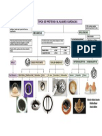 tipos de prótesis valvulares cardíacas