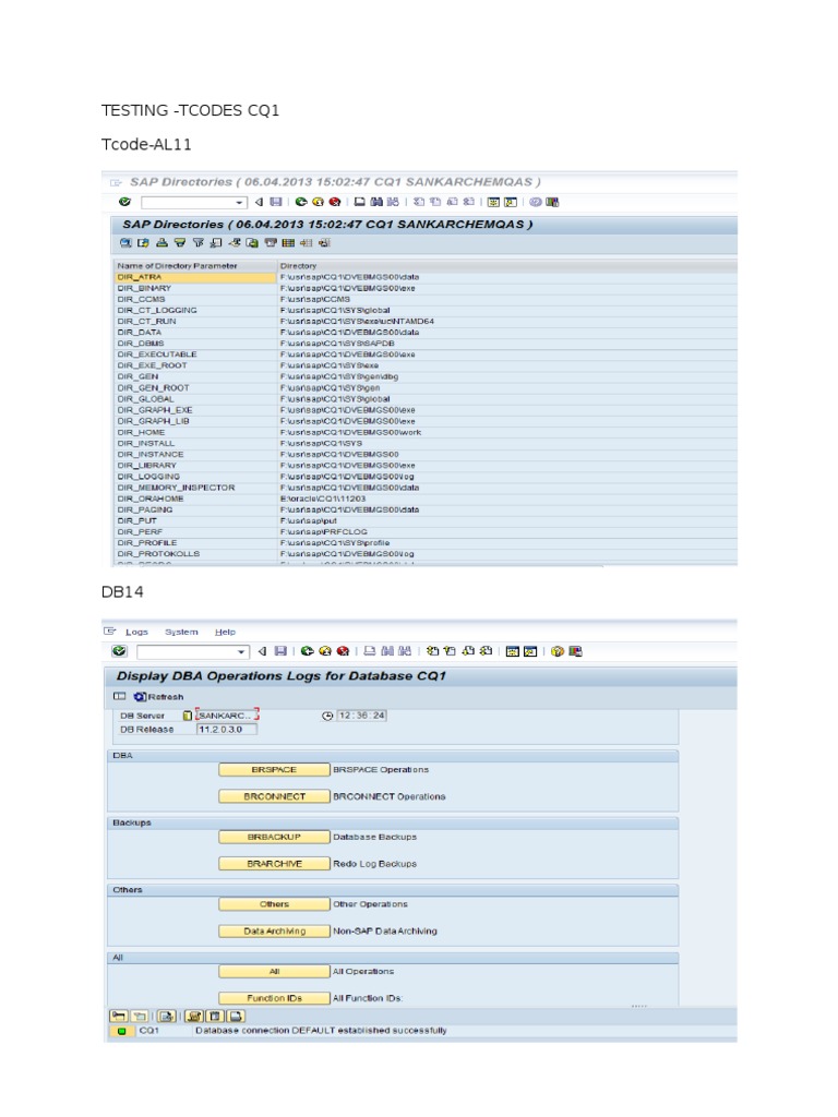 SAP T-Codes Testing List | PDF | Science & Mathematics