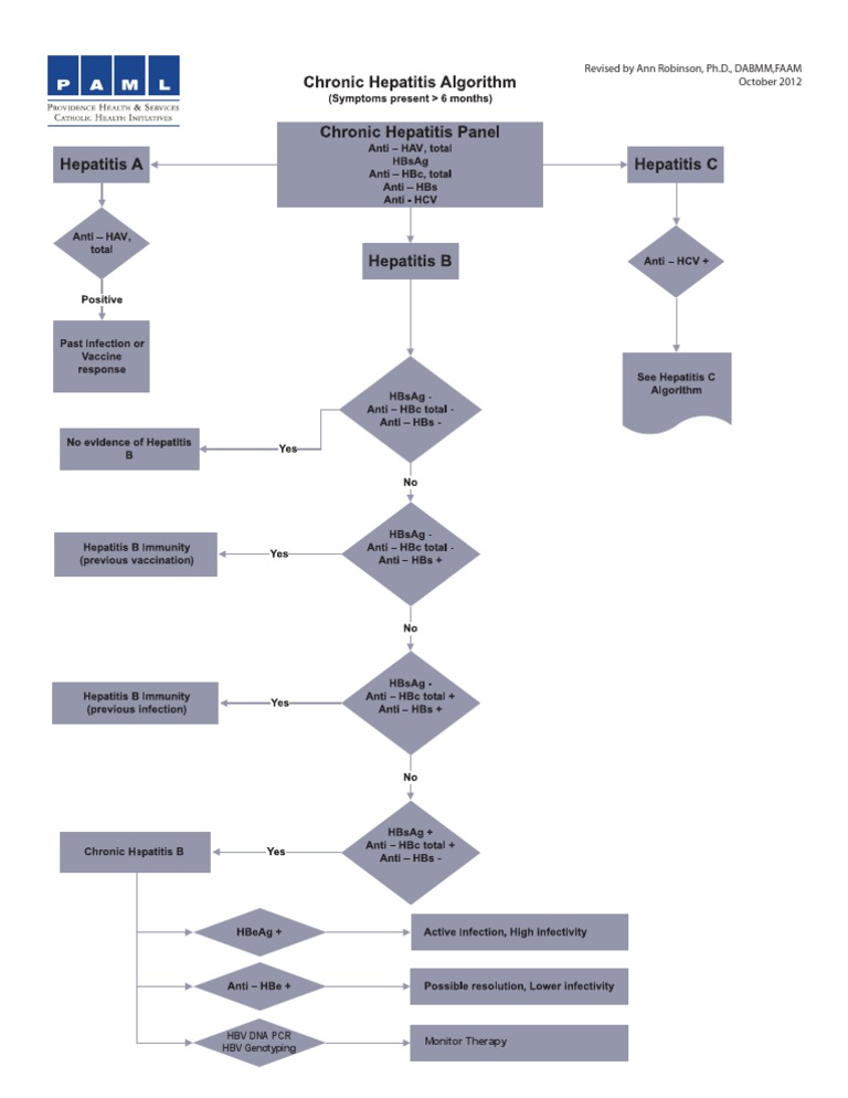 HBV DNA PCR & Genotyping Guide | PDF