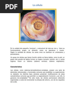 La célula