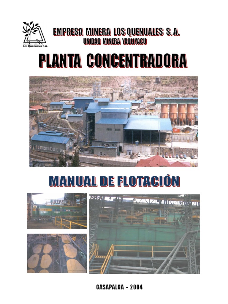 Manual Flotacion de Minerales PDF Cianuro Minerales