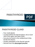 Parathyroid
