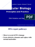 Luo_Lecture8 With Summary