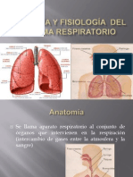 Sistema Respiratorio