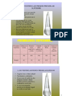 ODONTOLOGIALa Anatomía de Un Primer Premolar Superior Con Tres Raíces