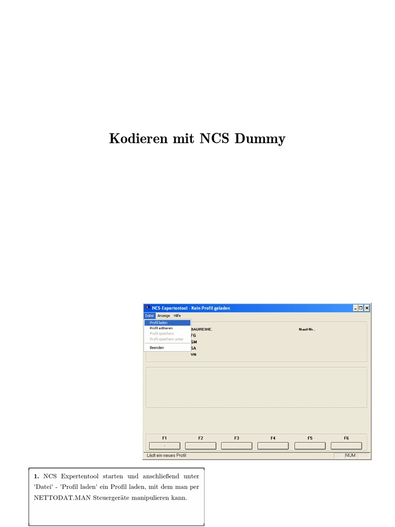 Kodieren Mit NCS Dummy PDF