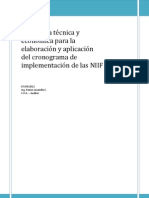 Plan de Implementación de Las NIIF