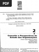 Texto 03 PTO - Conceitos e Perspectivas de Estudo das Organizações