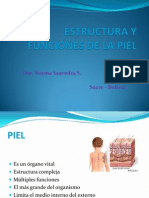 Estructura y Funciones de La Piel