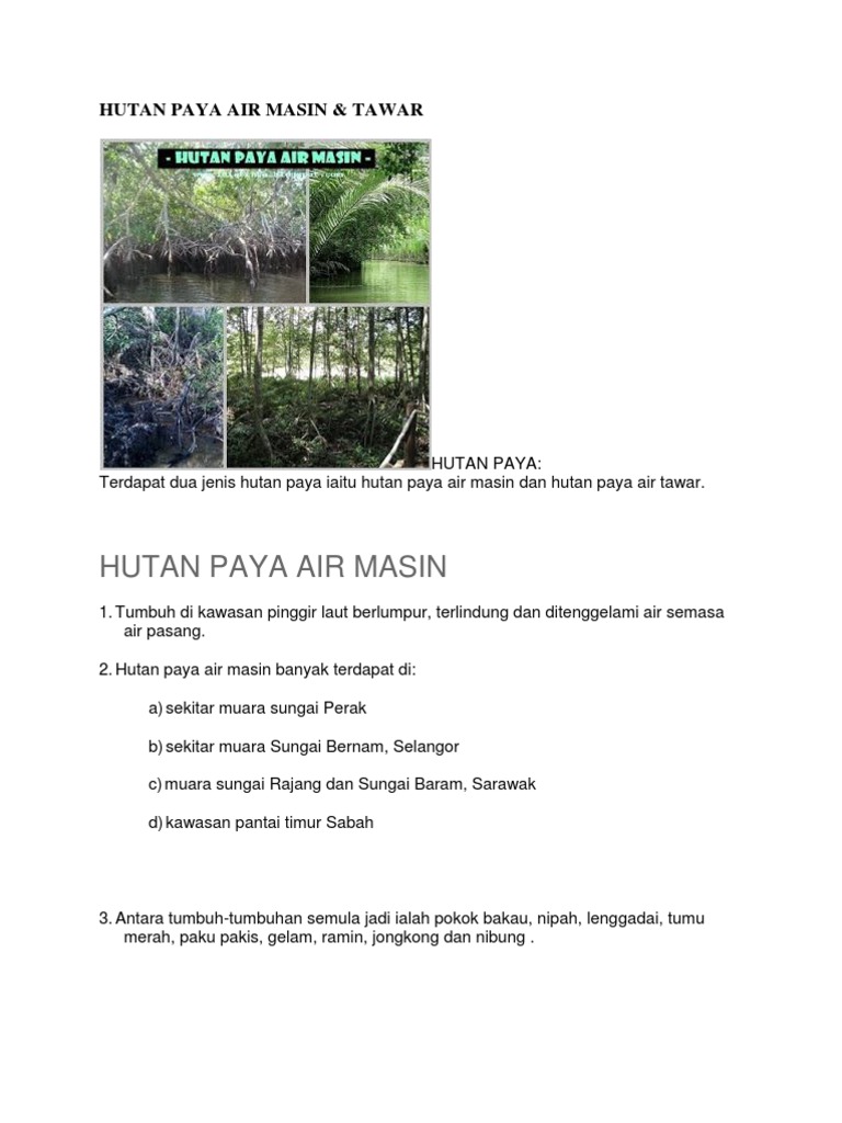Hutan Paya Air Tawar