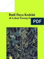 Budidaya Kedelai Lahan Pasang Surut