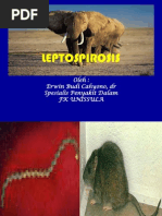 Download LeptoSpirosIs by Fatmala Haningtyas SN162921152 doc pdf