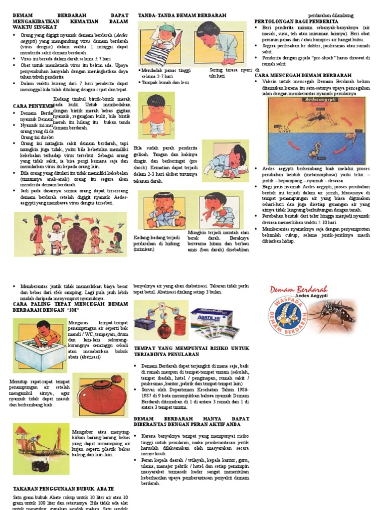 Leaflet Demam Berdarah Dengue PDF