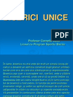 Biserici Unice Cos 4.3