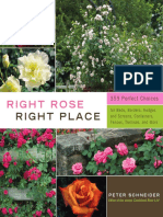 Right Rose, Right Place (Book Layout and Design)